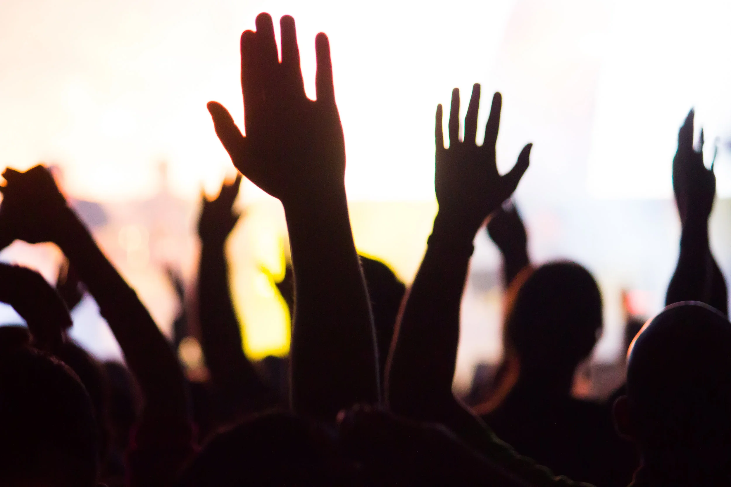 iStock-508005098.jpg