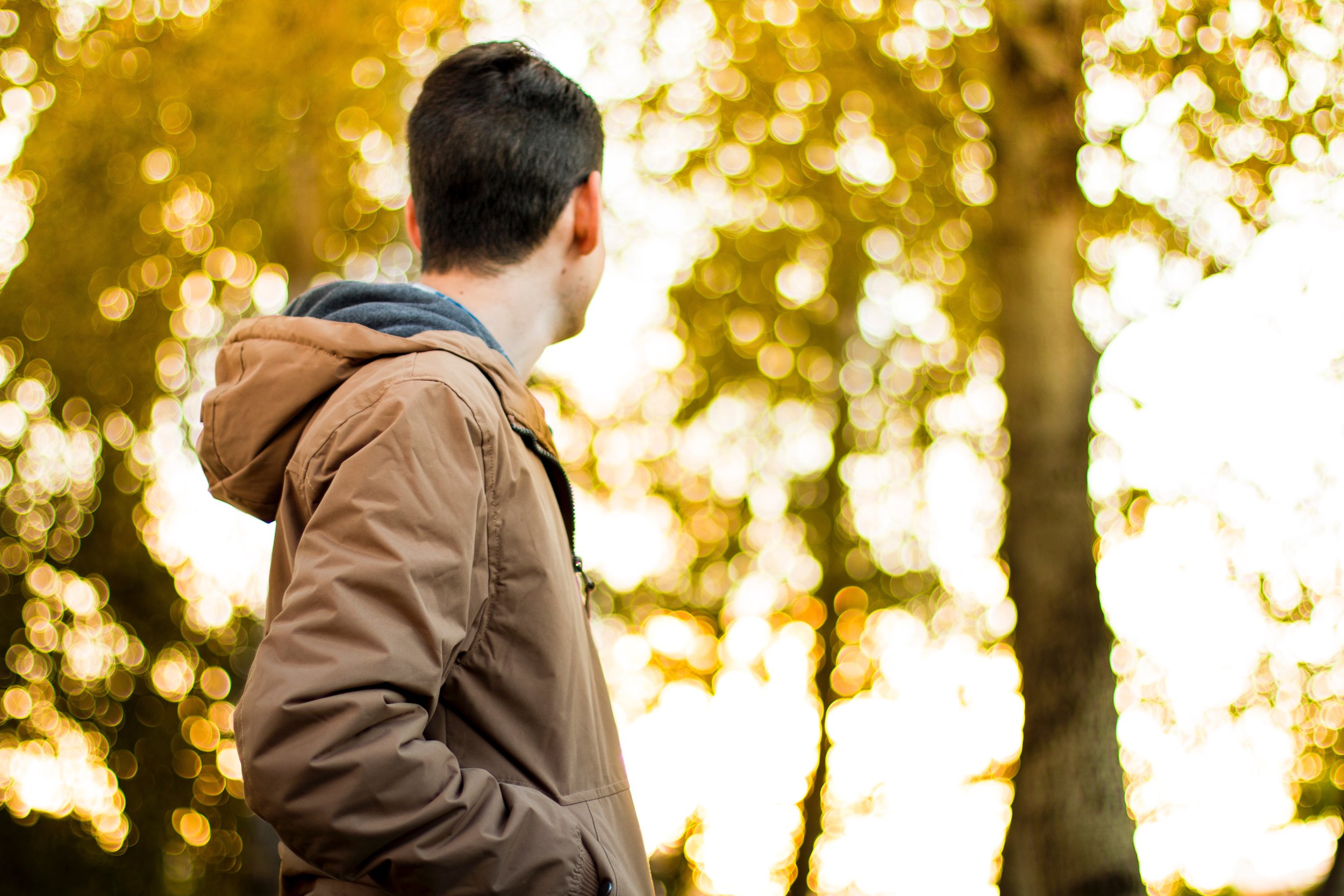 autumn-bokeh-boy-18894.jpg