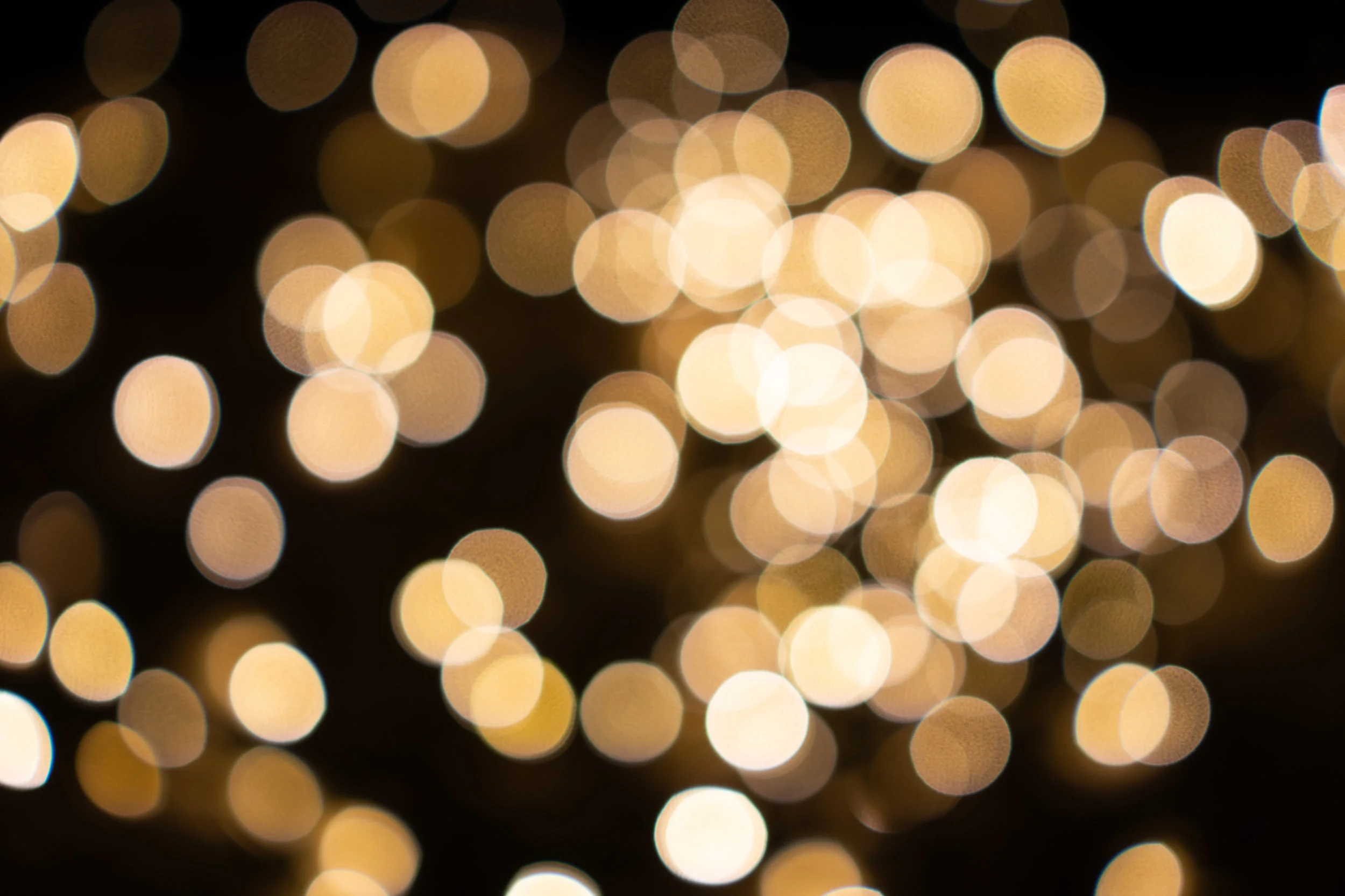 lightstock_590296_download_medium_sandra_.jpg
