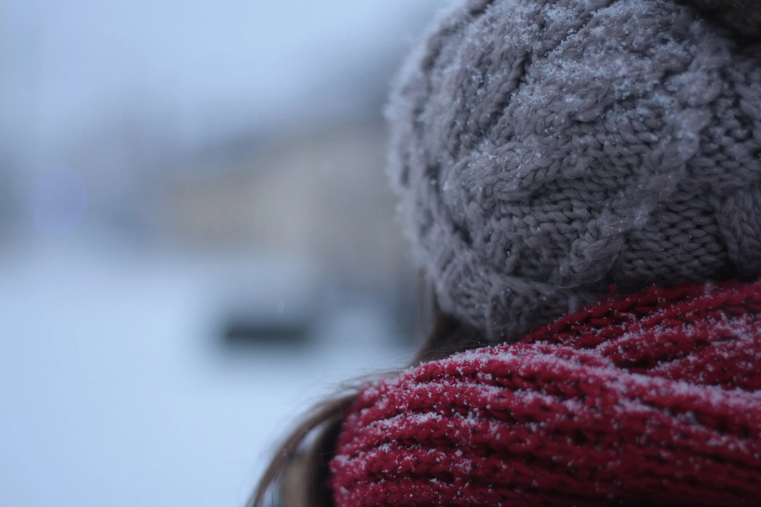 pexels-photo-2.jpg