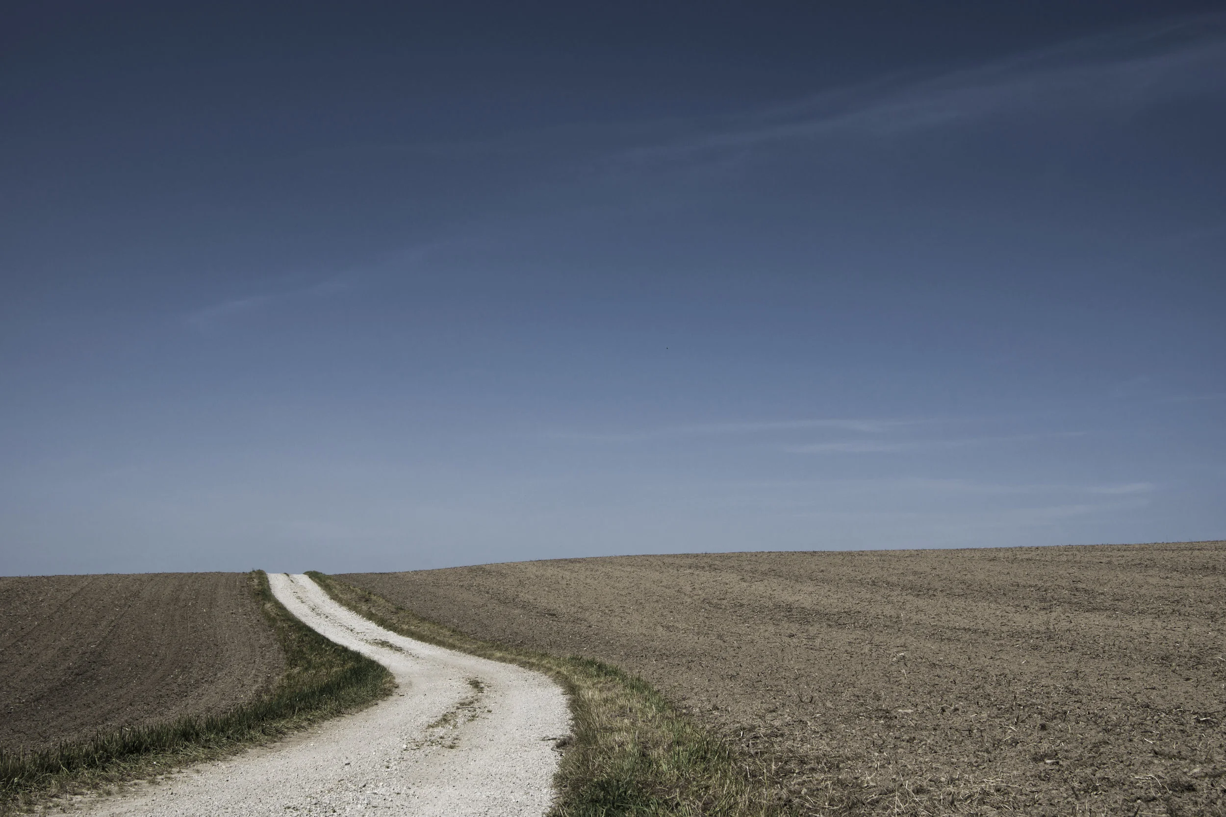 nature-sky-field-path.jpg