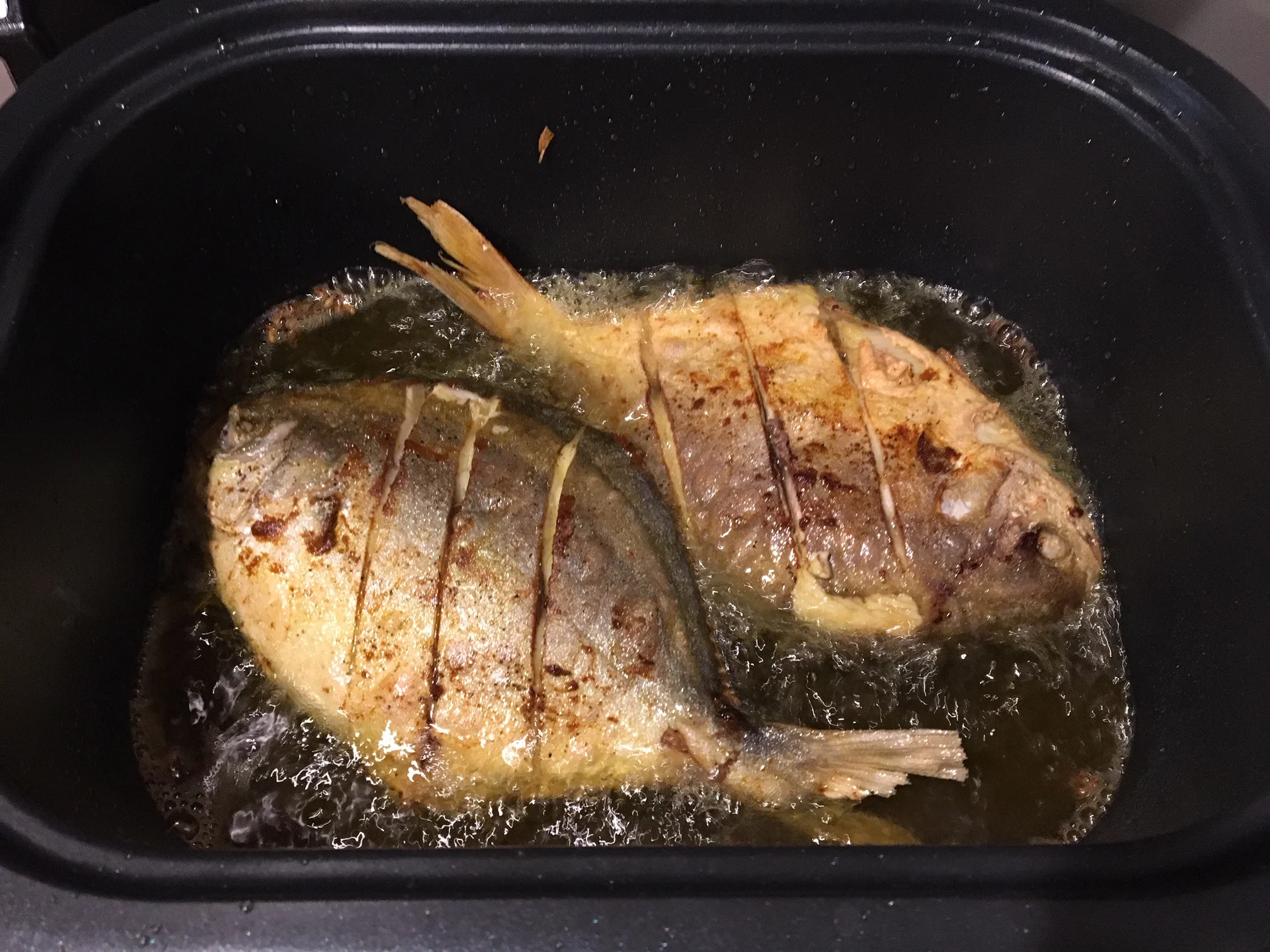 Frying Fish Cindi Ferrini.jpg