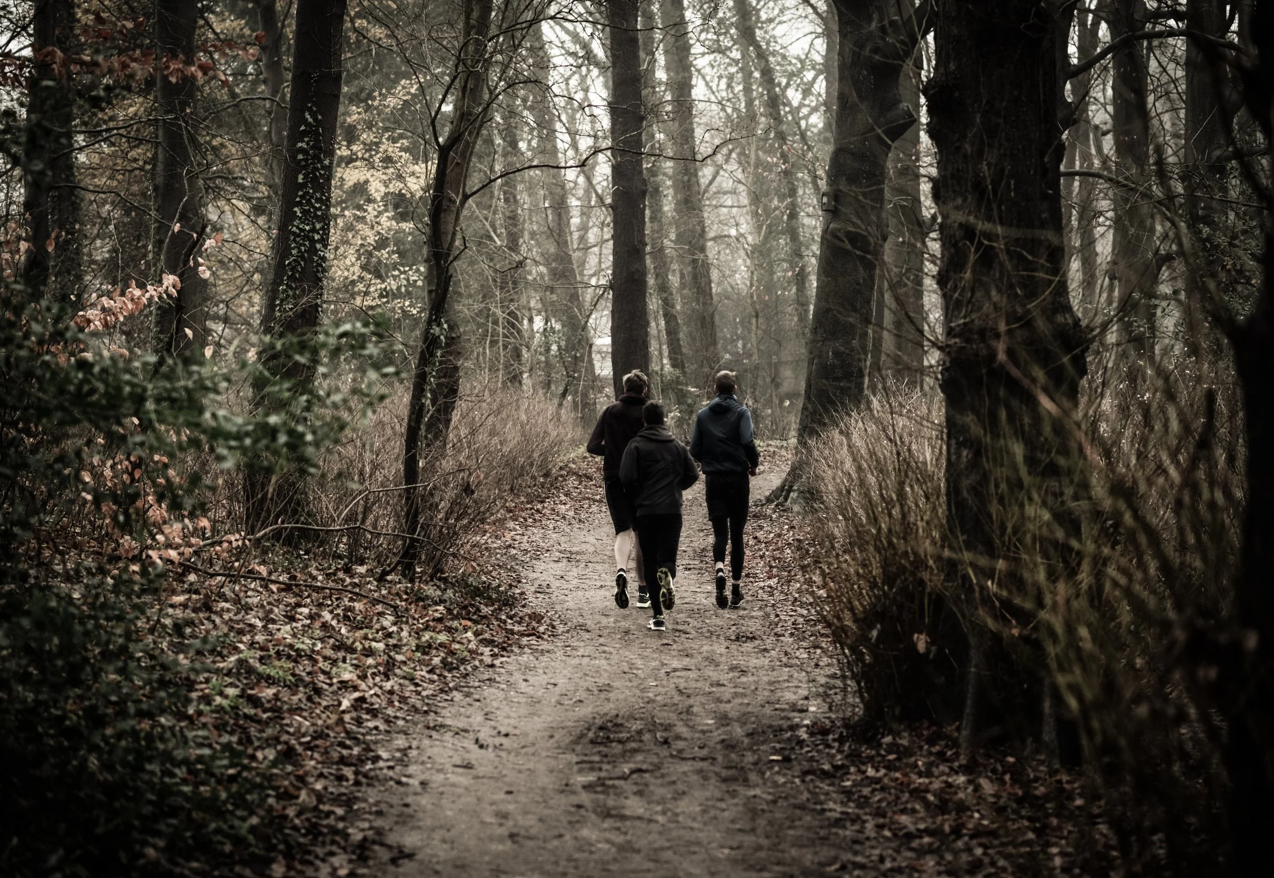 Runners in woods on path.jpg