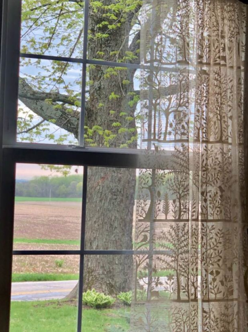 Kathy Bolduc Tree for May Blog Post.png