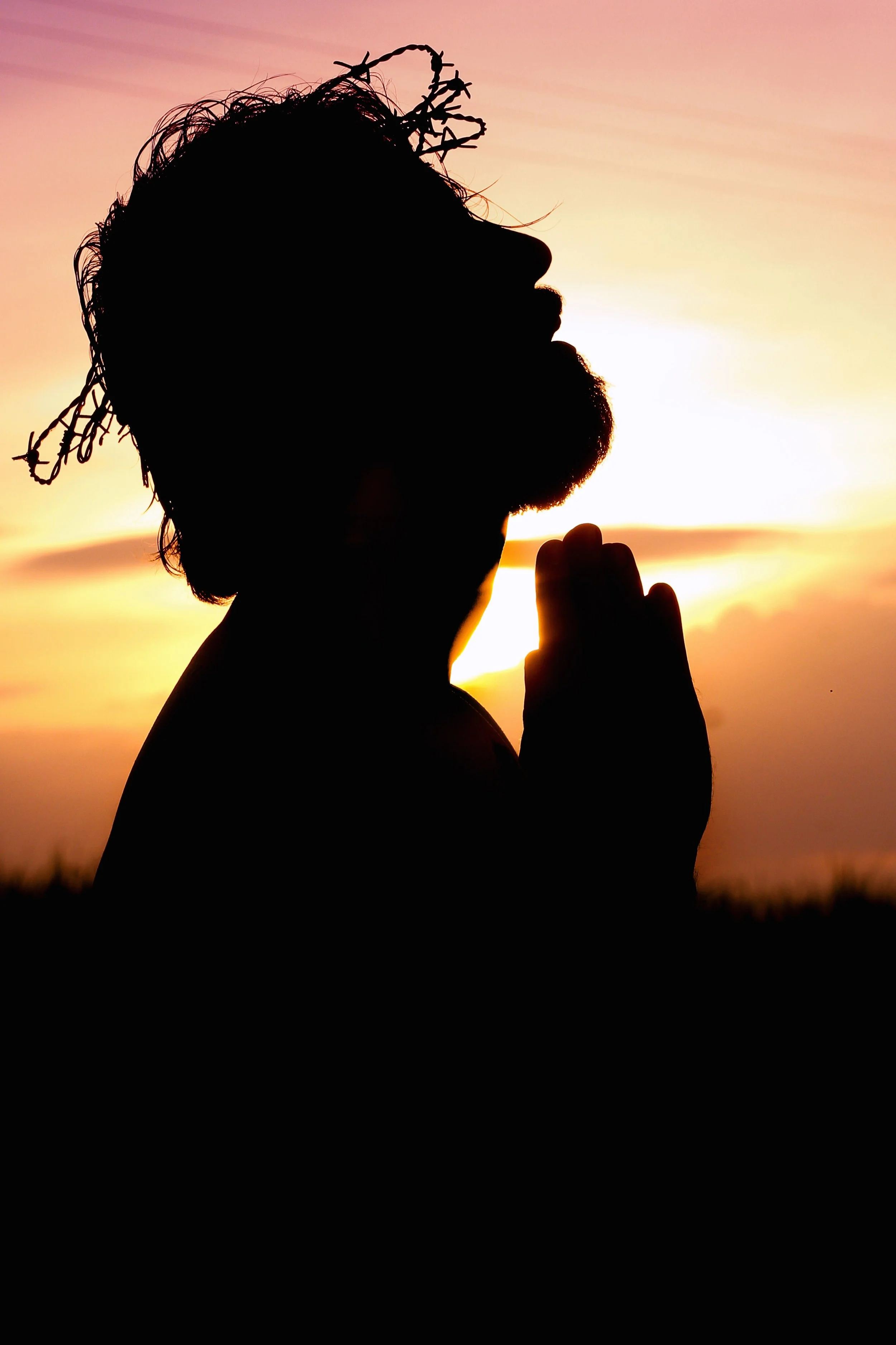 Jesus Crown of Thorns praying.jpg