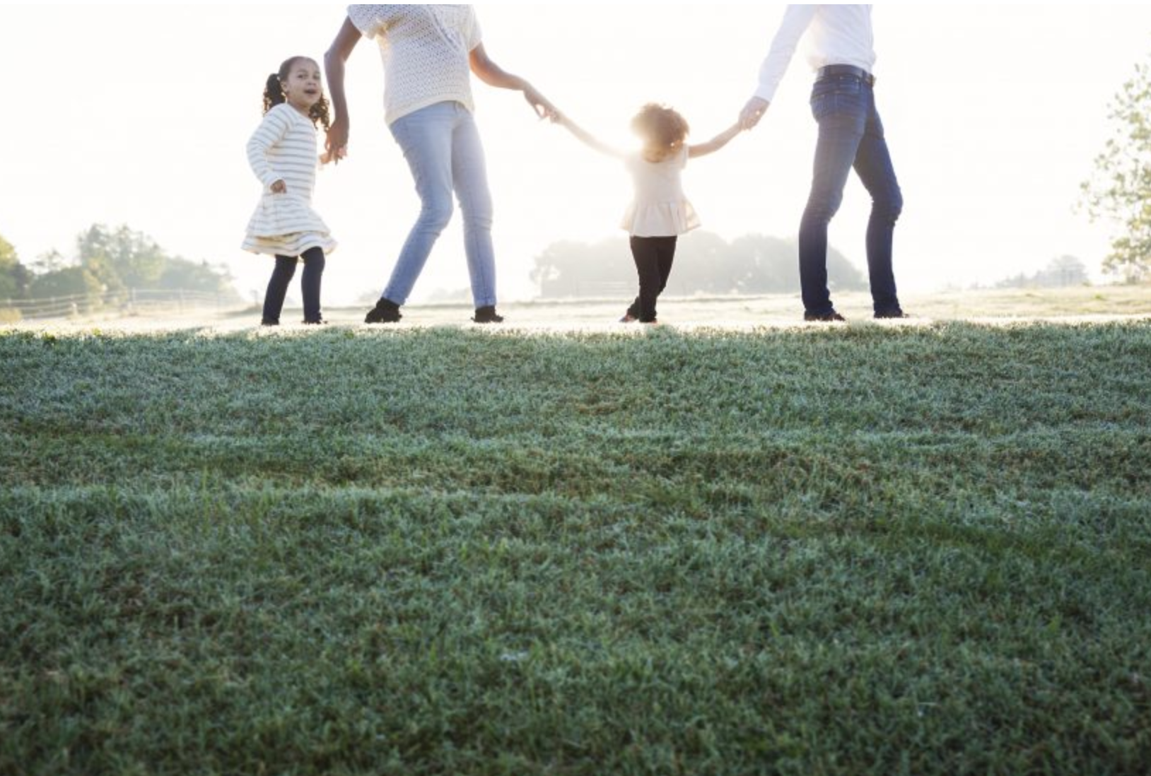 Screen Shot 2019-06-11 at 1.47.07 PM.png