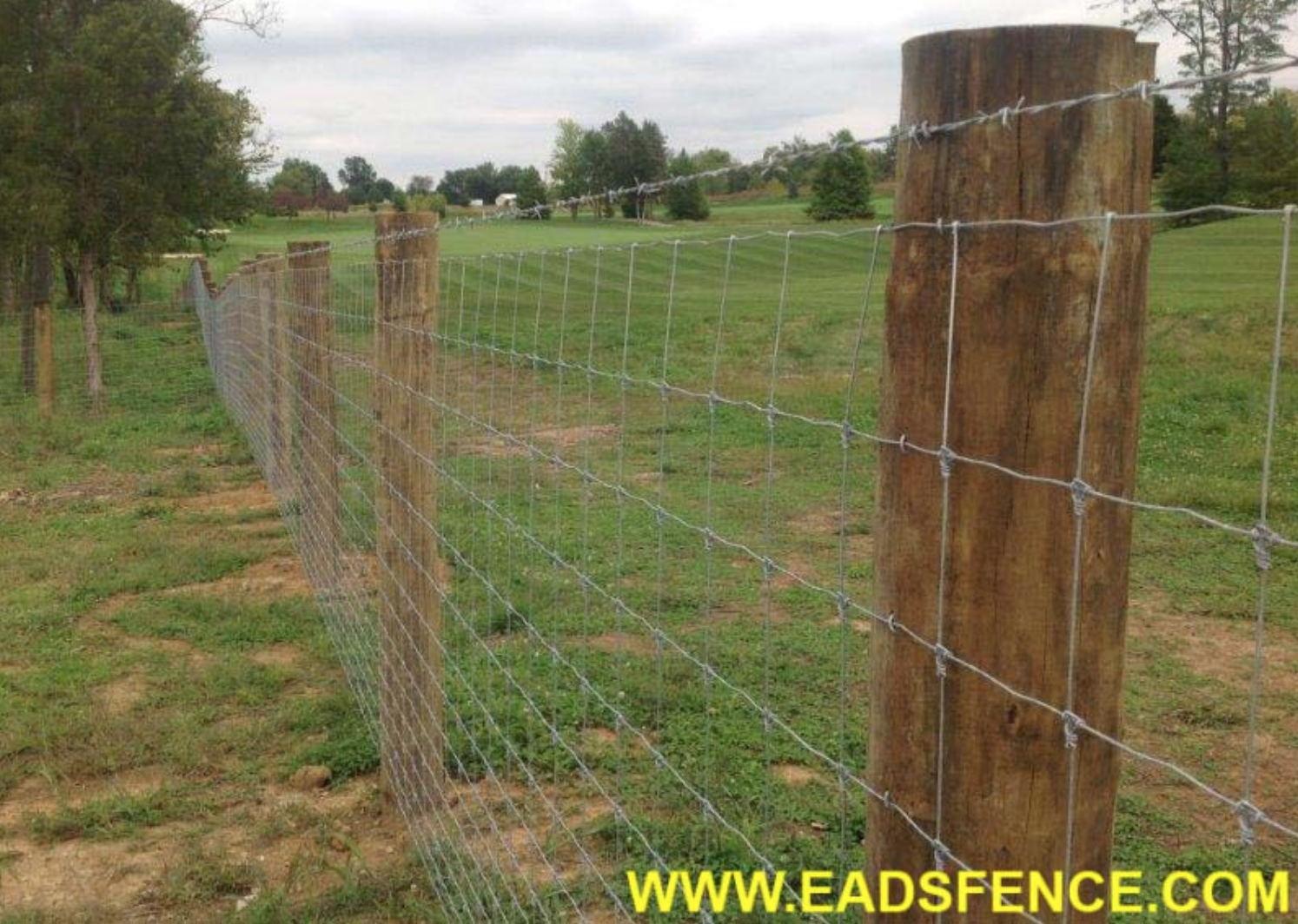 Photo credit: www.eadsfence.com