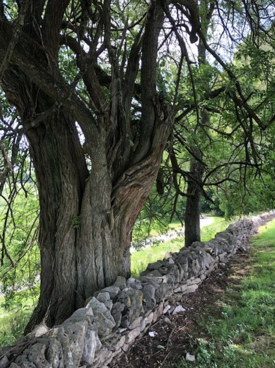 Screen Shot 2019-07-22 at 3.10.28 PM.png