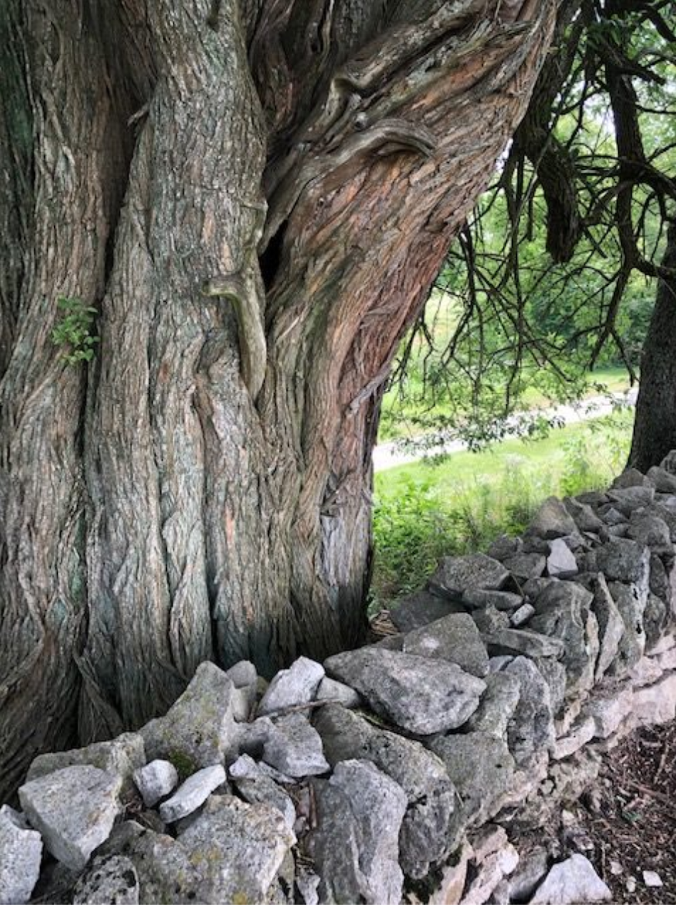 Screen Shot 2019-07-22 at 3.10.45 PM.png