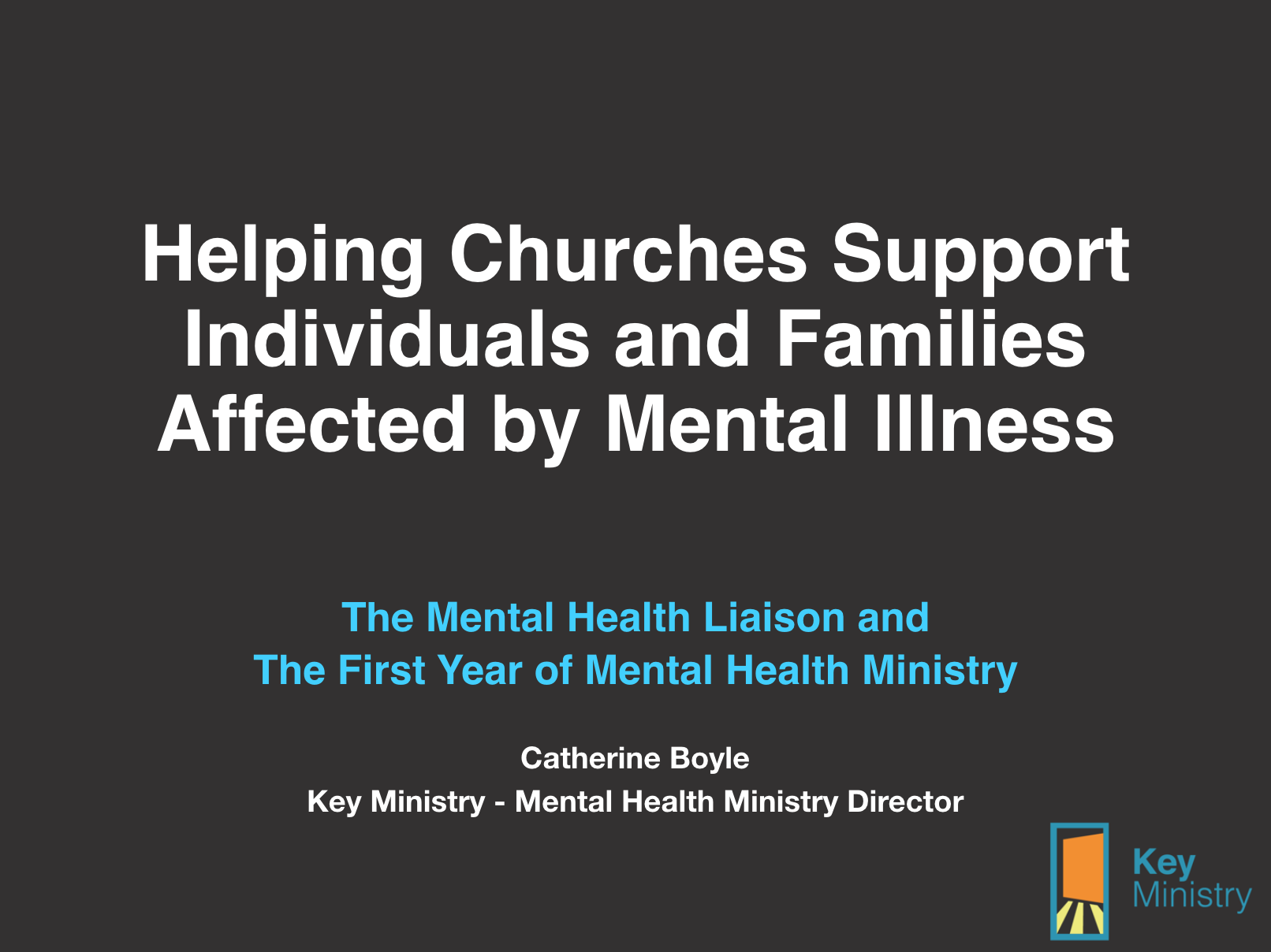 The First Year of Mental Health Ministry in Your Church: What the Liaison/Champion Will Do