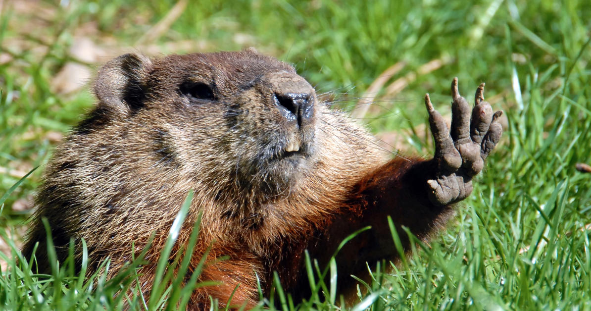 Photo credit: farmersalmanac.com