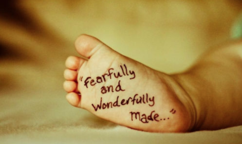 Screen Shot 2020-01-09 at 4.04.21 PM.png