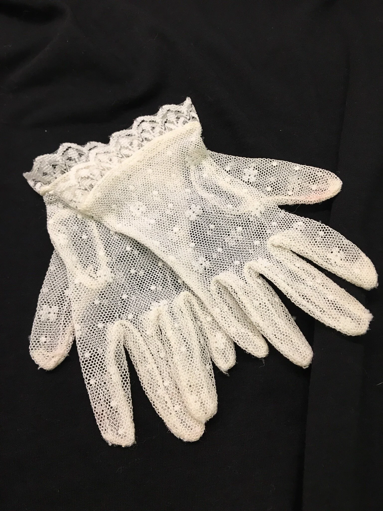 Cindi F September image.jpeg