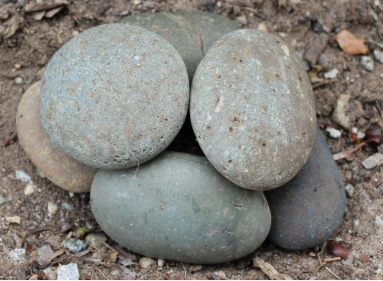 Screen Shot 2021-03-29 at 2.59.35 PM.png