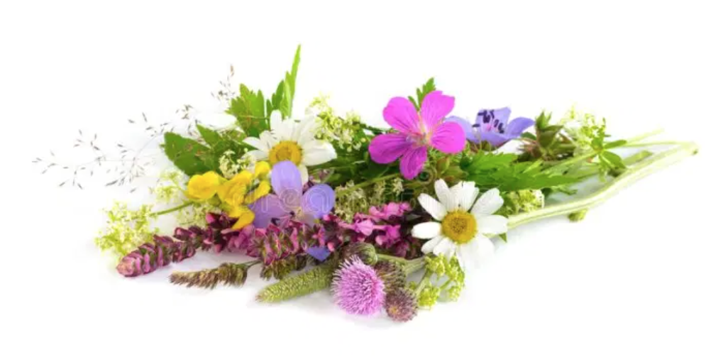 Screen Shot 2021-03-29 at 2.59.51 PM.png