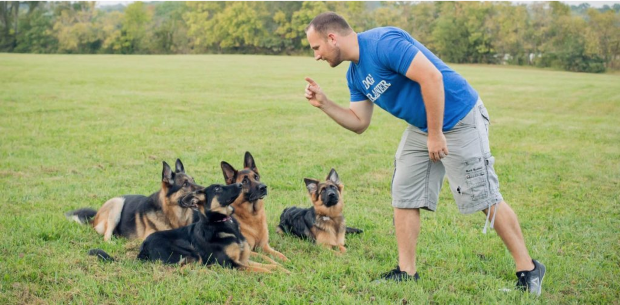 Photo credit: dogwizard.com