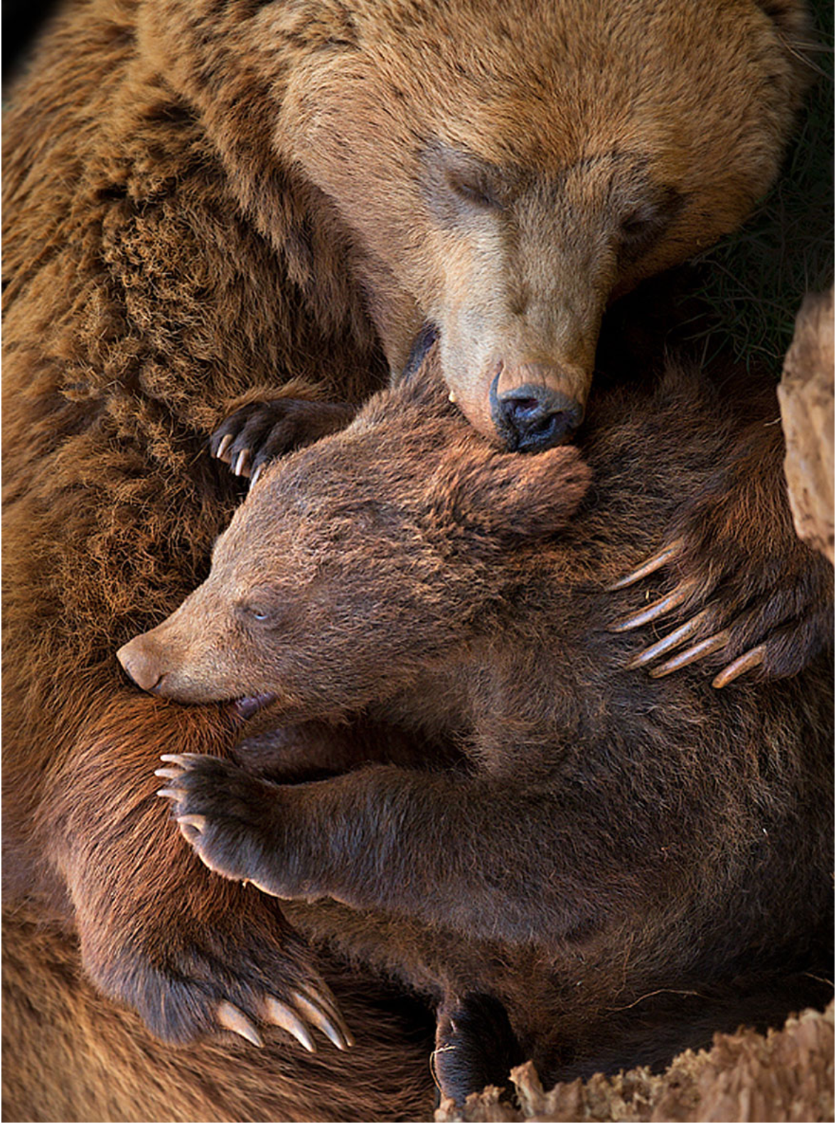 Photo credit: Marina Cano on 500px.com.