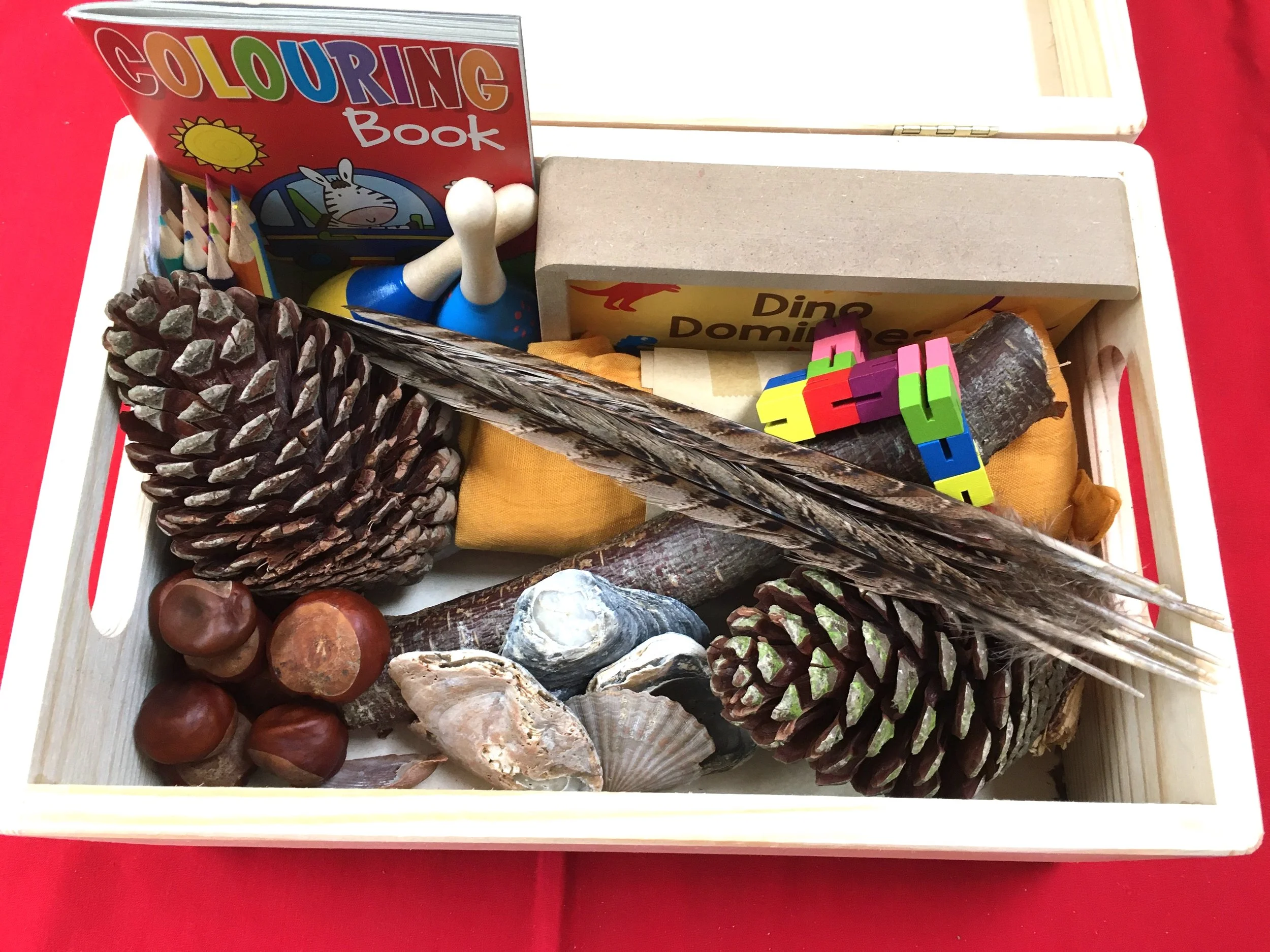 Image of fiddle box with the contents Mark listed.