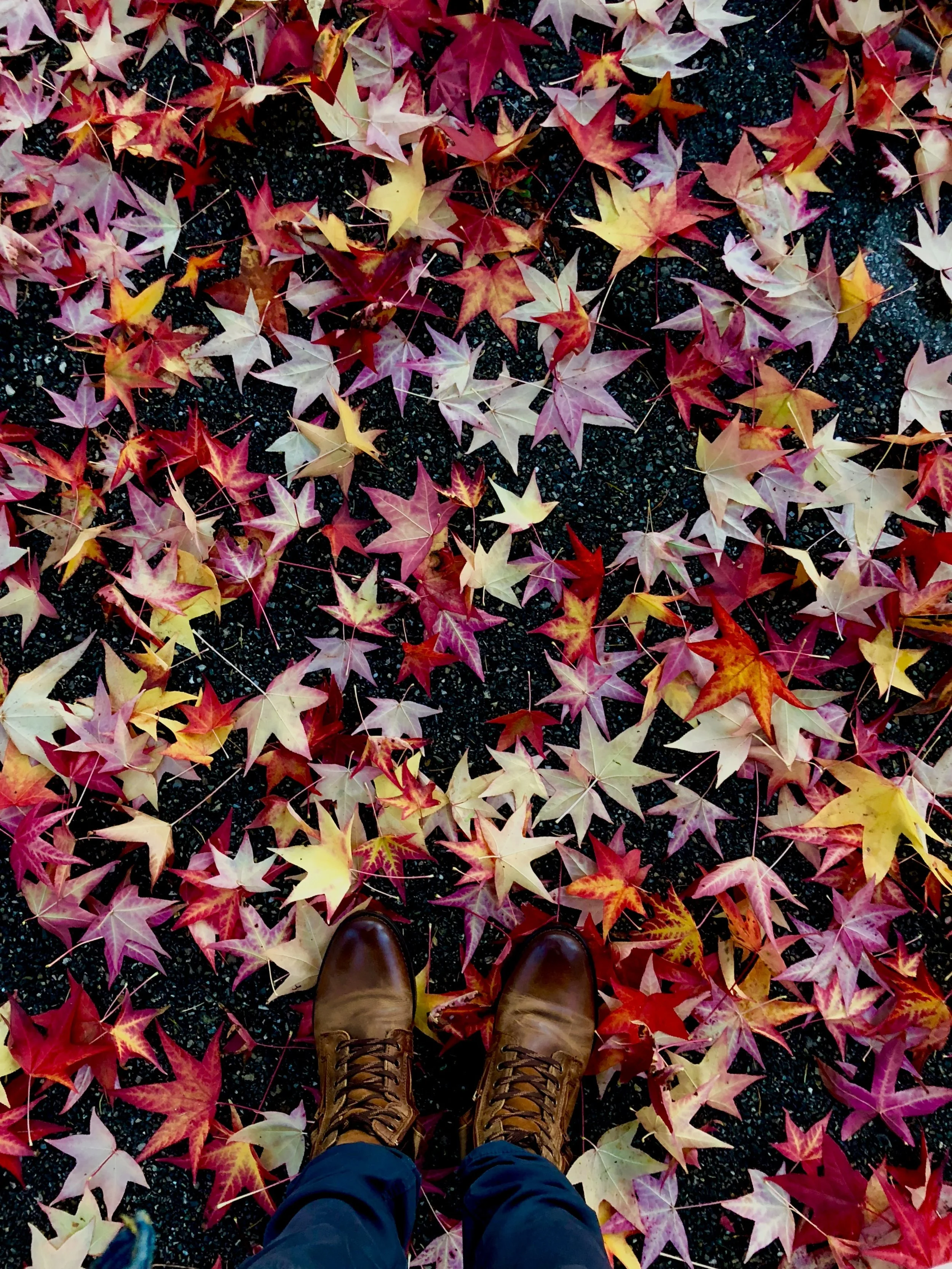 Person standing in boots surrounded by colorful fall leaves on the ground