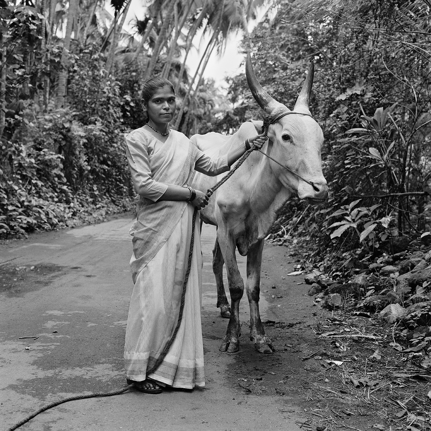 Woman with Bullock- Revanda, India