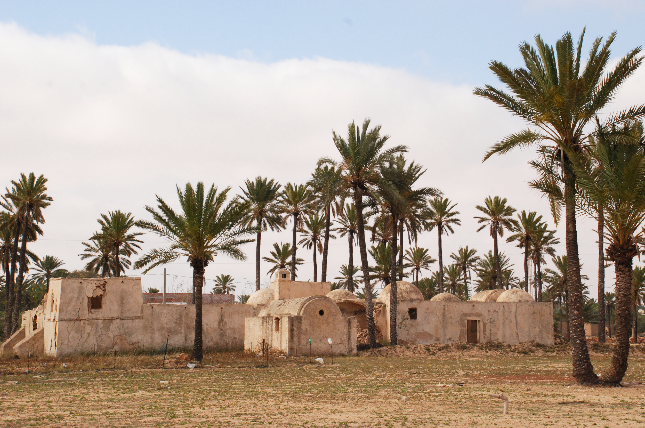 Farm- Djerba, Tunisia