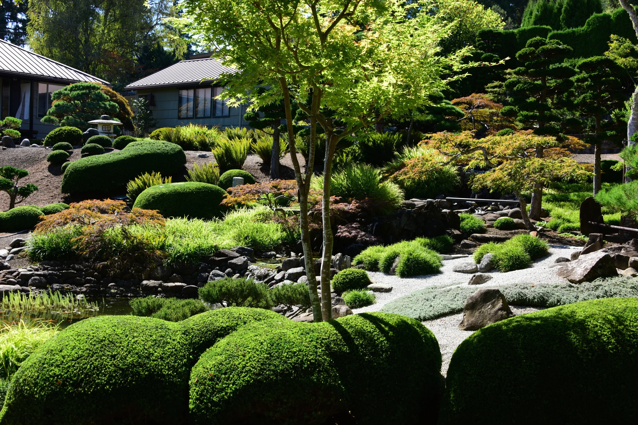 View of Momiji-en Natural Garden from tea house