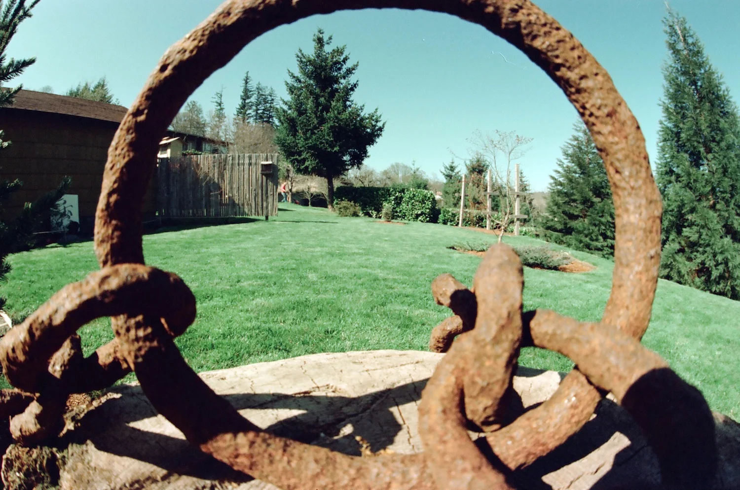Flotsam was early decor! Note sequoias at right.