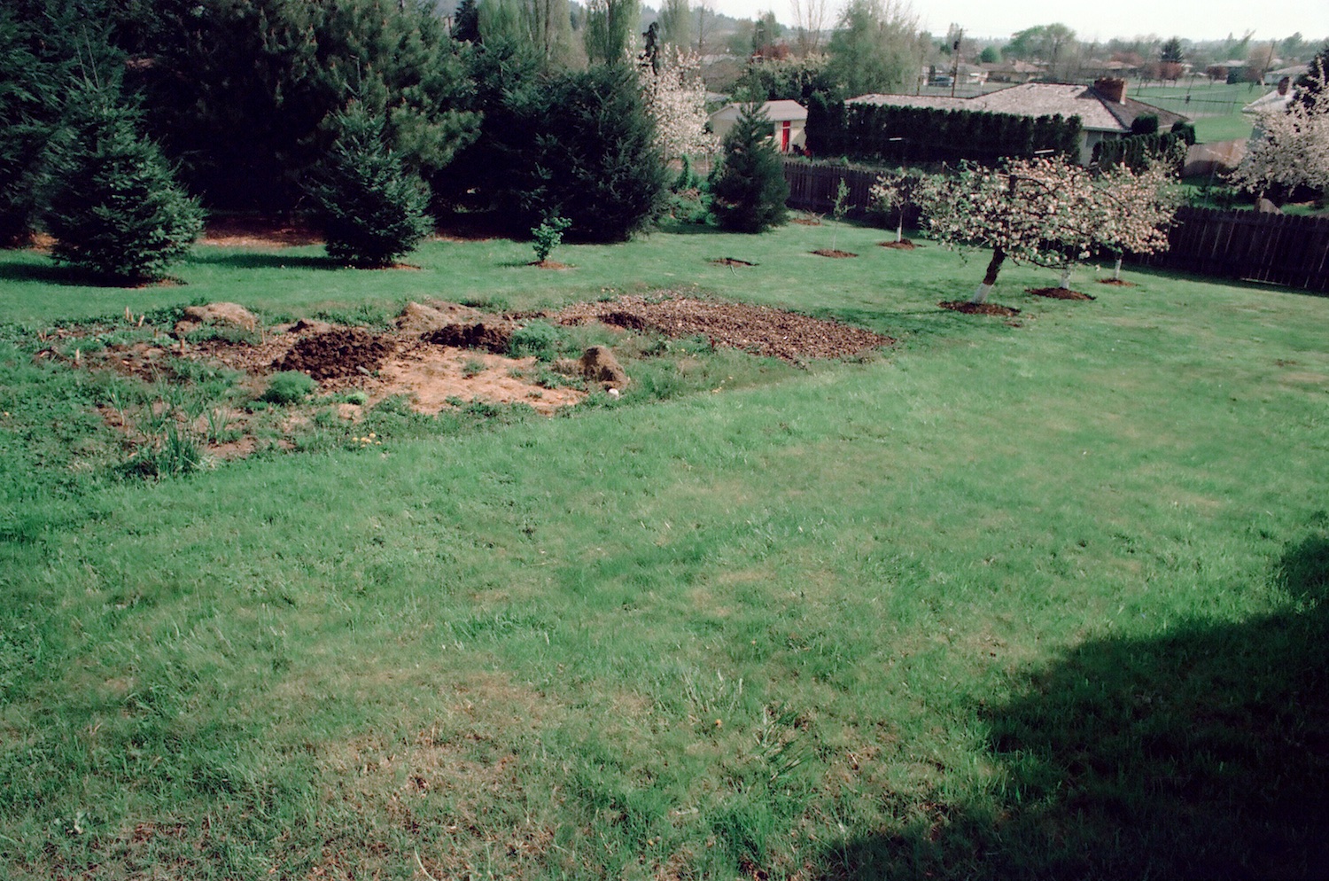 What is now the Natural Garden and site of the Tea House, first was our vegetable garden. Note original apple trees in upper right. Immediately above them in the photo is the roof of Walt and Paula Schmidt's home; beyond that, In the distance is Cloverland Park.