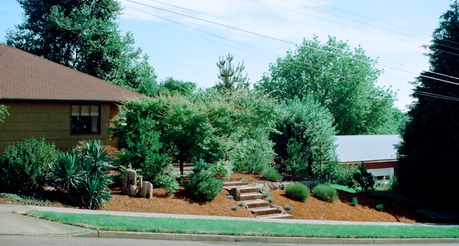 Not long after that hot day (pictured above), Bill made the front of our home welcoming. Most of the plant materials in this image are no longer there (see next image). In particular, note large cedars at right, removed by Rich Holmes.
