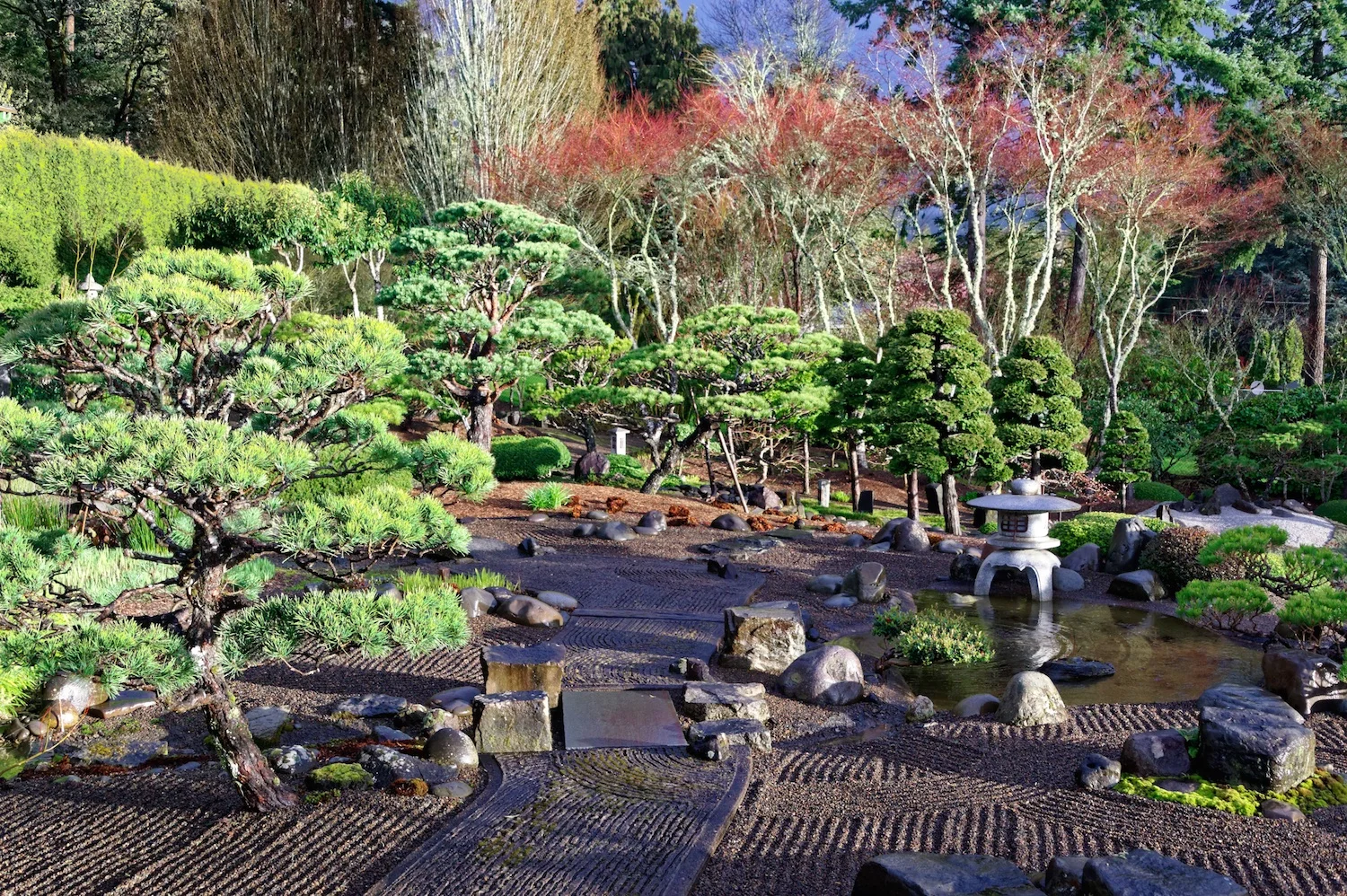 Upper Flat Garden, or hiraniwa, in early spring 2016.