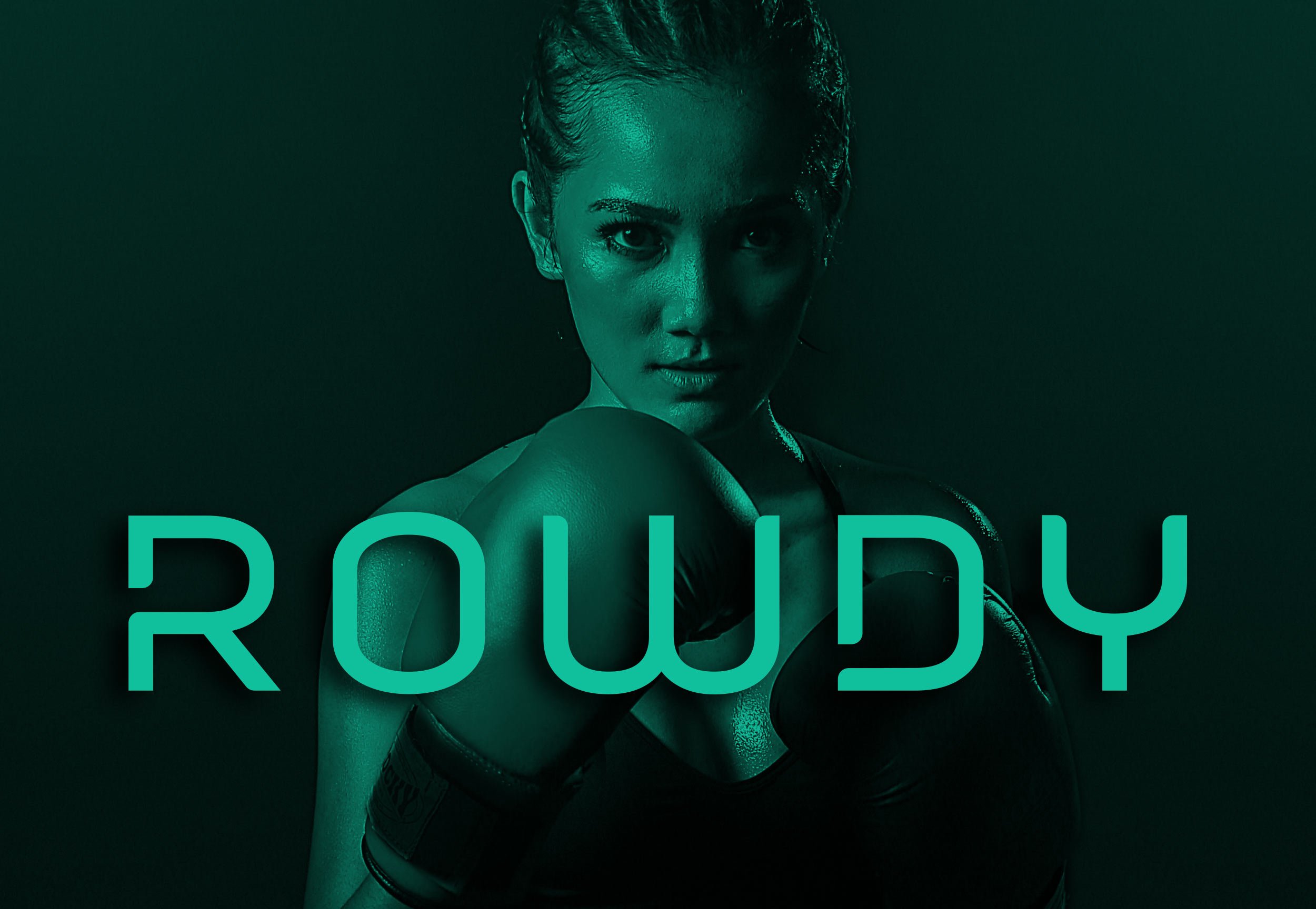 Rowdy_Boxer_Logo.jpg