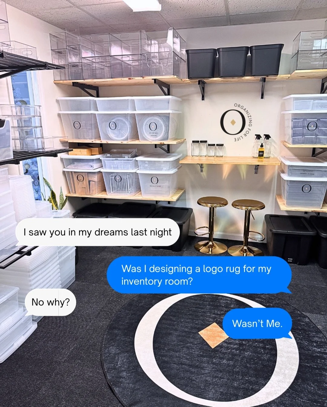 Love a trend and couldn&rsquo;t resist creating the Organizing for Life version of &ldquo;I saw you in my dreams last night&rdquo;. 

If I&rsquo;m not organizing, drinking caffeine, cuddling with my kids or cats&hellip; wasn&rsquo;t me ☺️

Also, who 