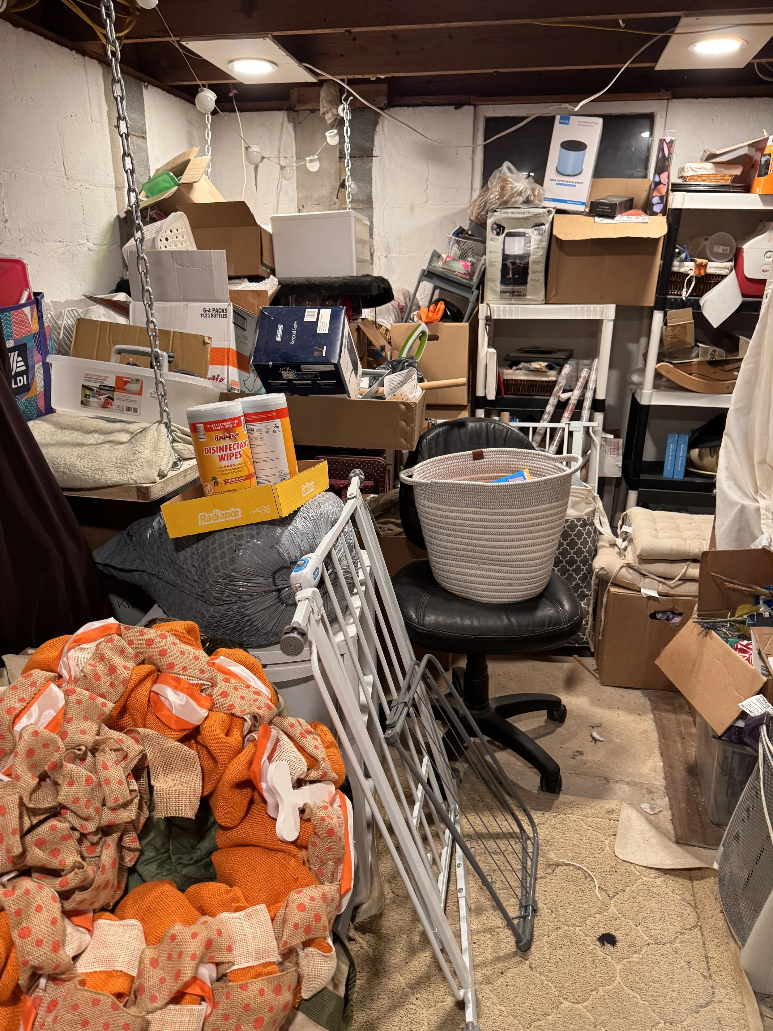 6. Pro Organizer.jpeg