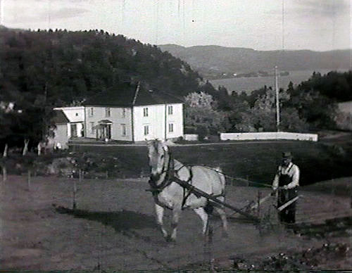 Lange arbeidsdager. 1953