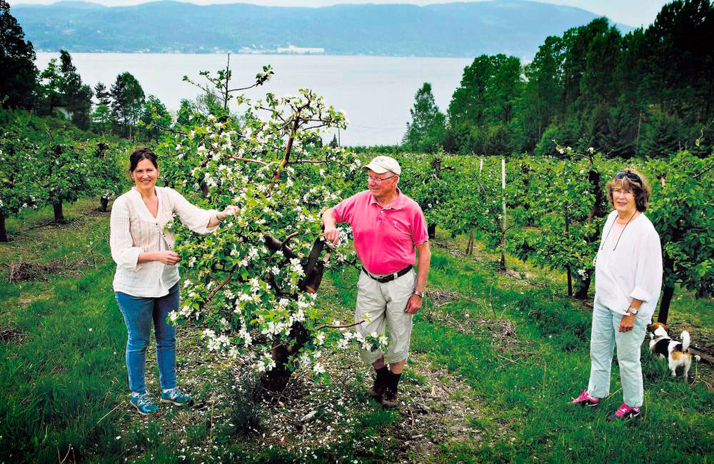 To generasjoner eplebønder på Hyggen gård; Olaf og Eva Hyggen og Merete Hyggen.