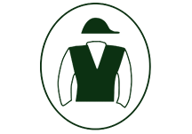 Vinery Sales Logo.png
