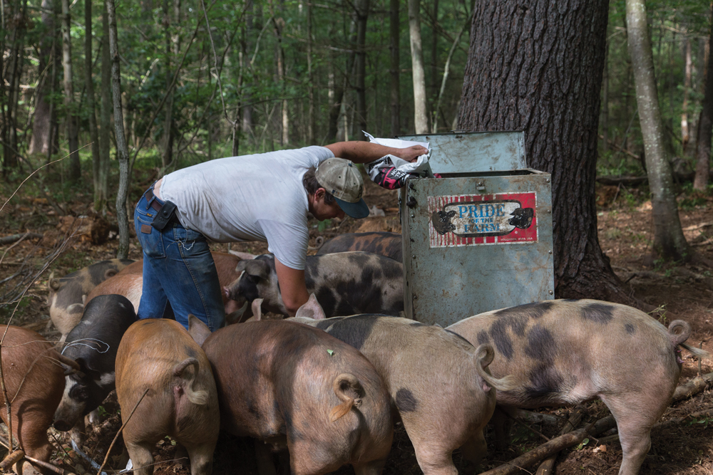 bb_Tylerfeeding_photo_by_B_Stachowski