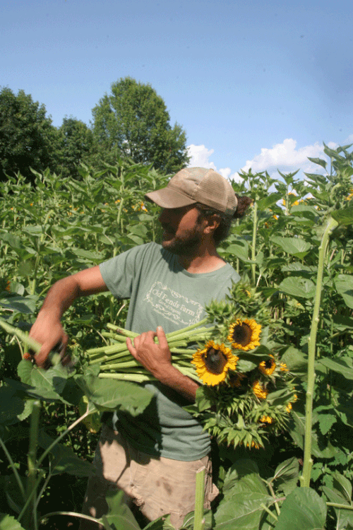 Farms Local Food Read All About It Edible Pioneer Valley