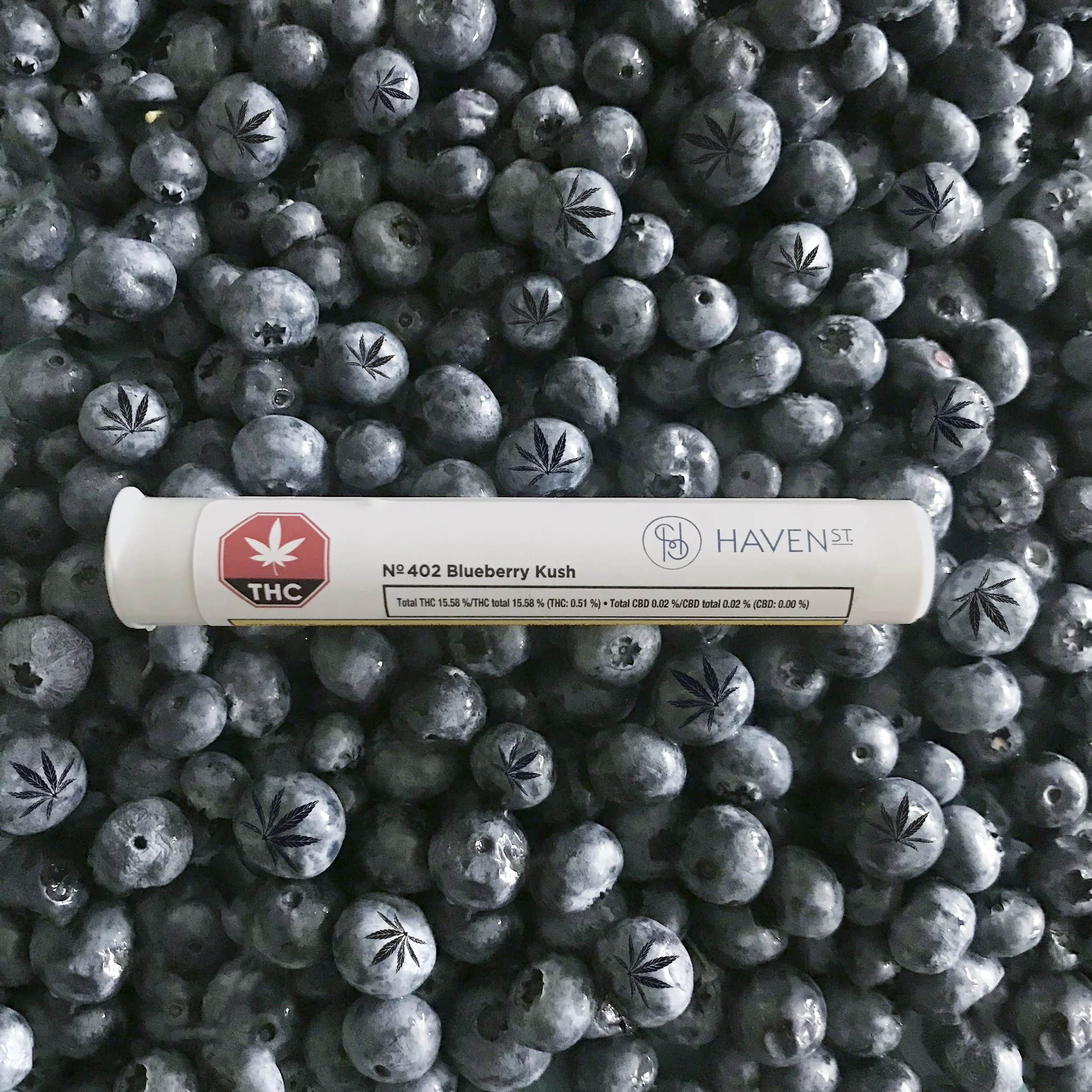 BlueberryKushSep2019.jpg