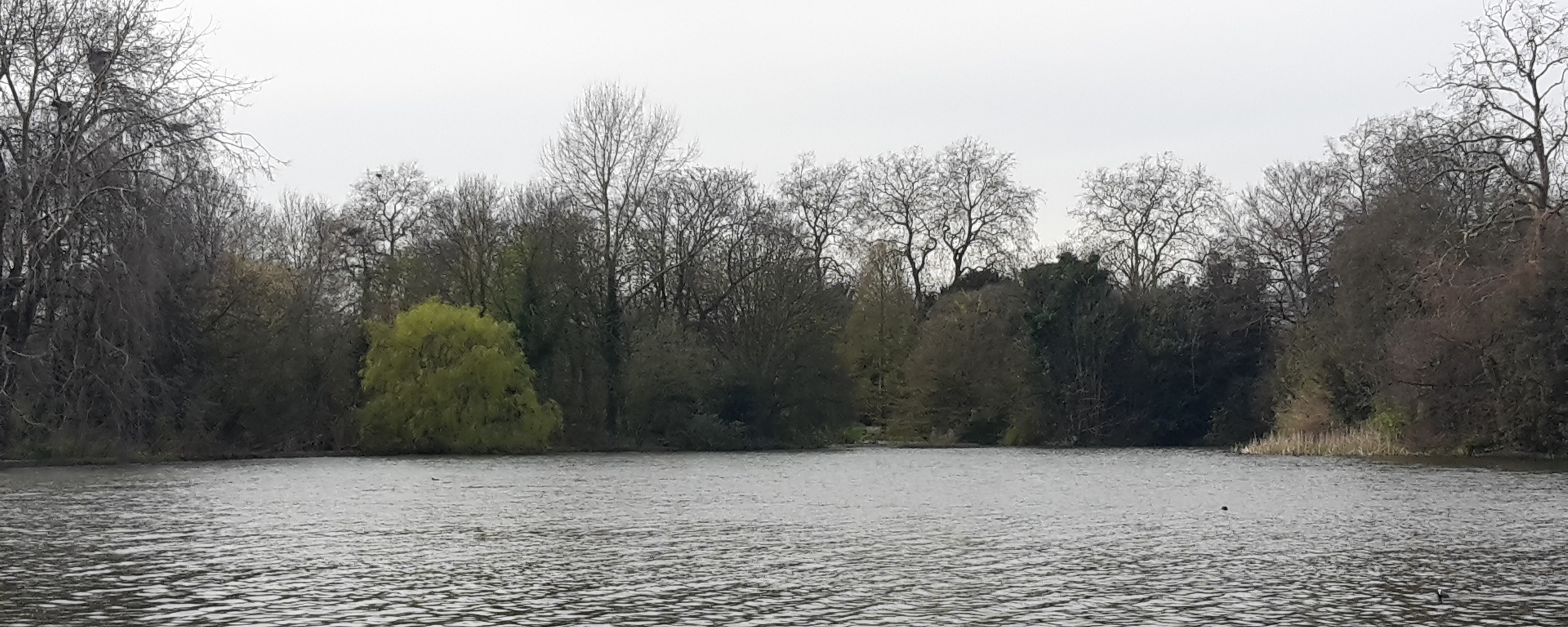 20160410_154411.jpg