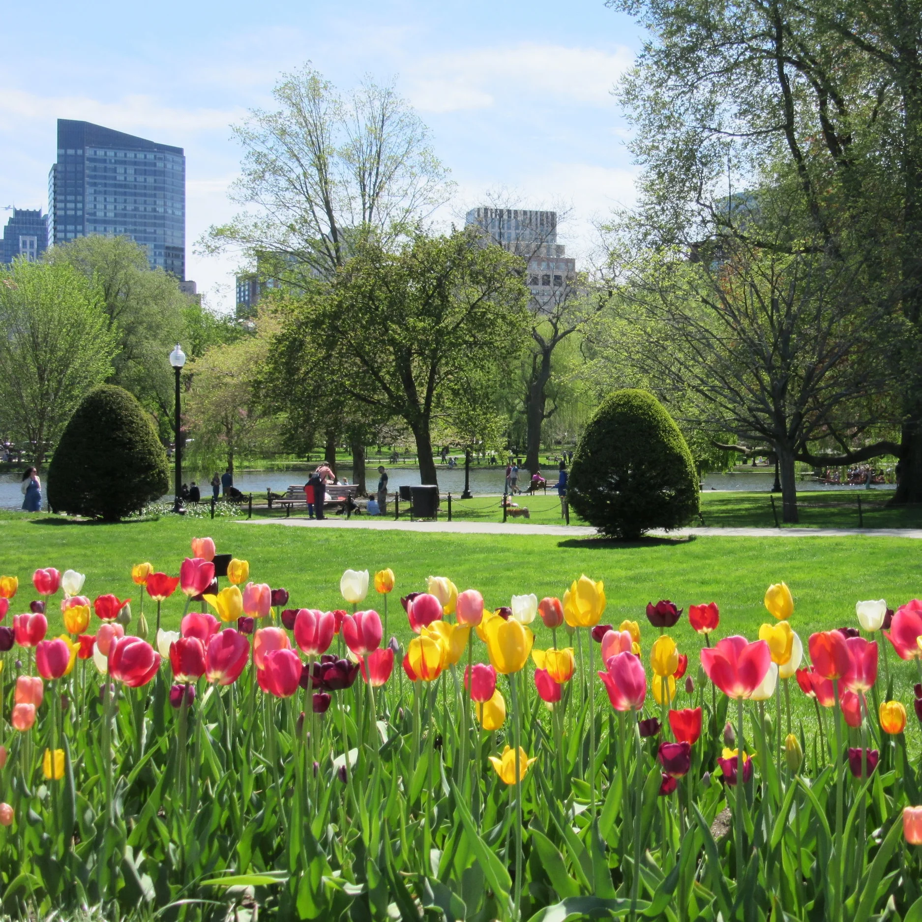 1_Public+Garden_IMG_8481.jpg