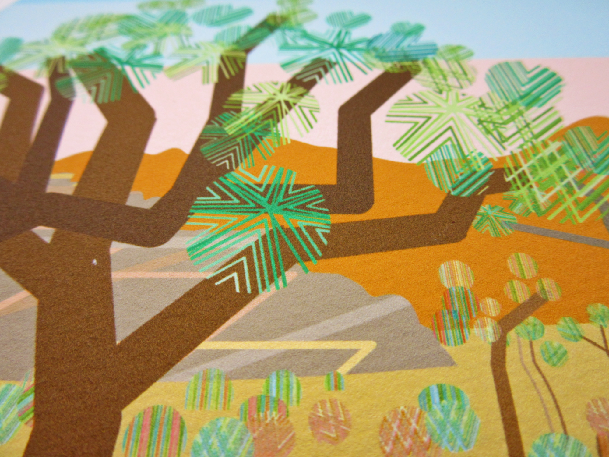 CRT_2_JTPark_JoshuaTree_1_S.jpg