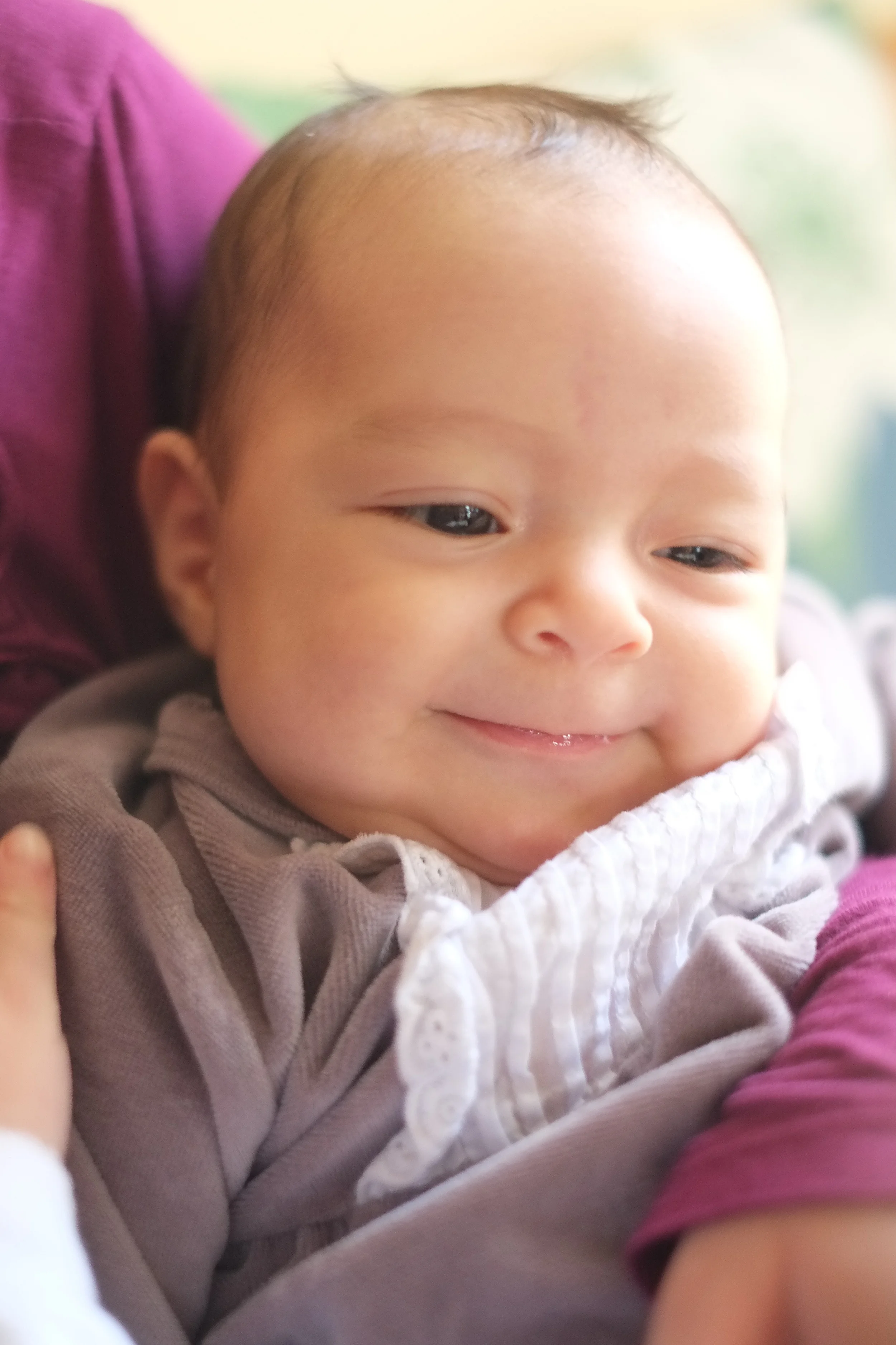 Our 7th sweet baby girl who was born in late 2015.