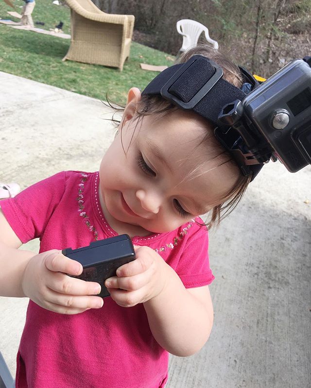 Someone put Abraham's gopro on Priscilla. 😊#cutie 📷A @wholesome.place post 📝 http://www.Wholesome.Place