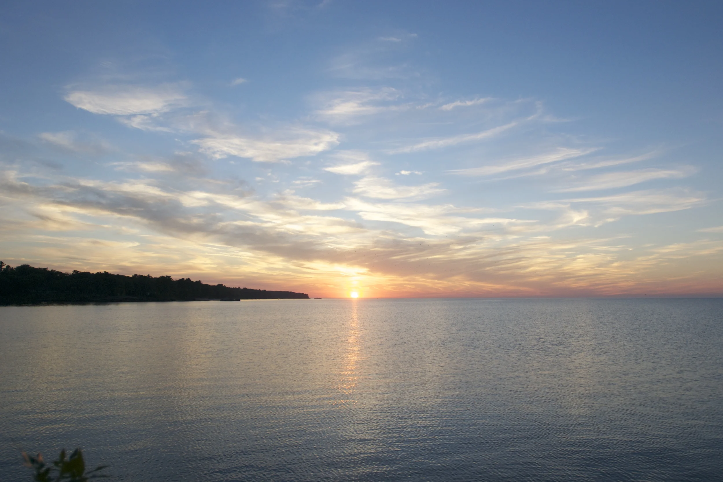 DSC_8782.jpg