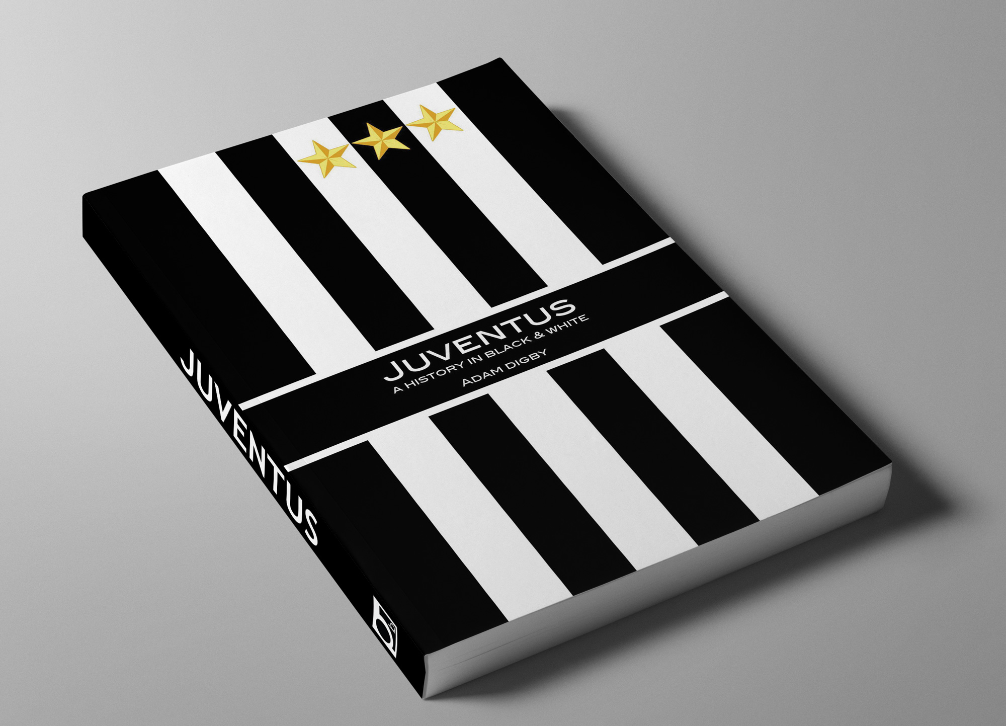 JUVE-COVER-GREY-2000px.jpg