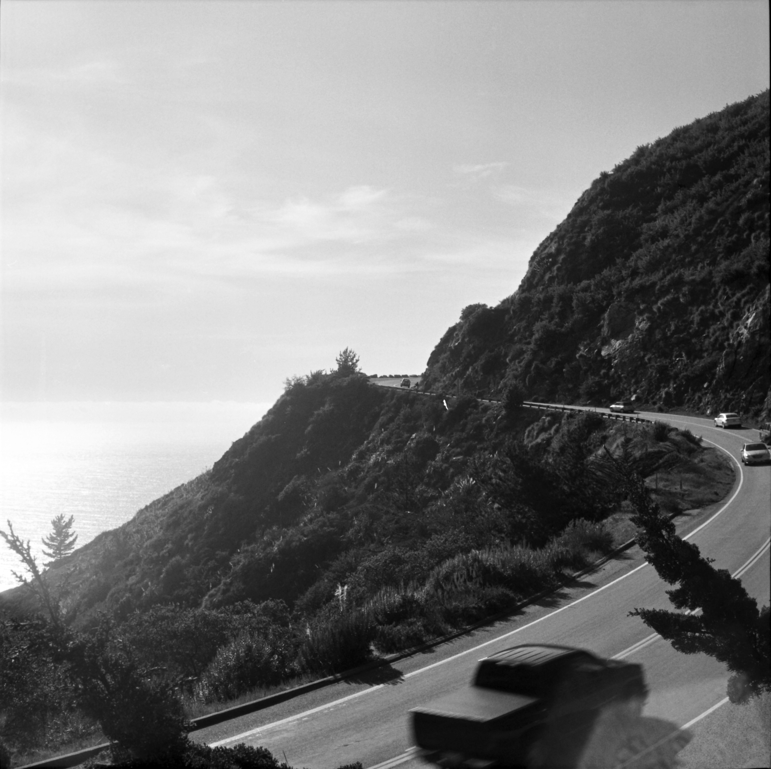 Big Sur_BW_Stephanie_0001_edit.jpg