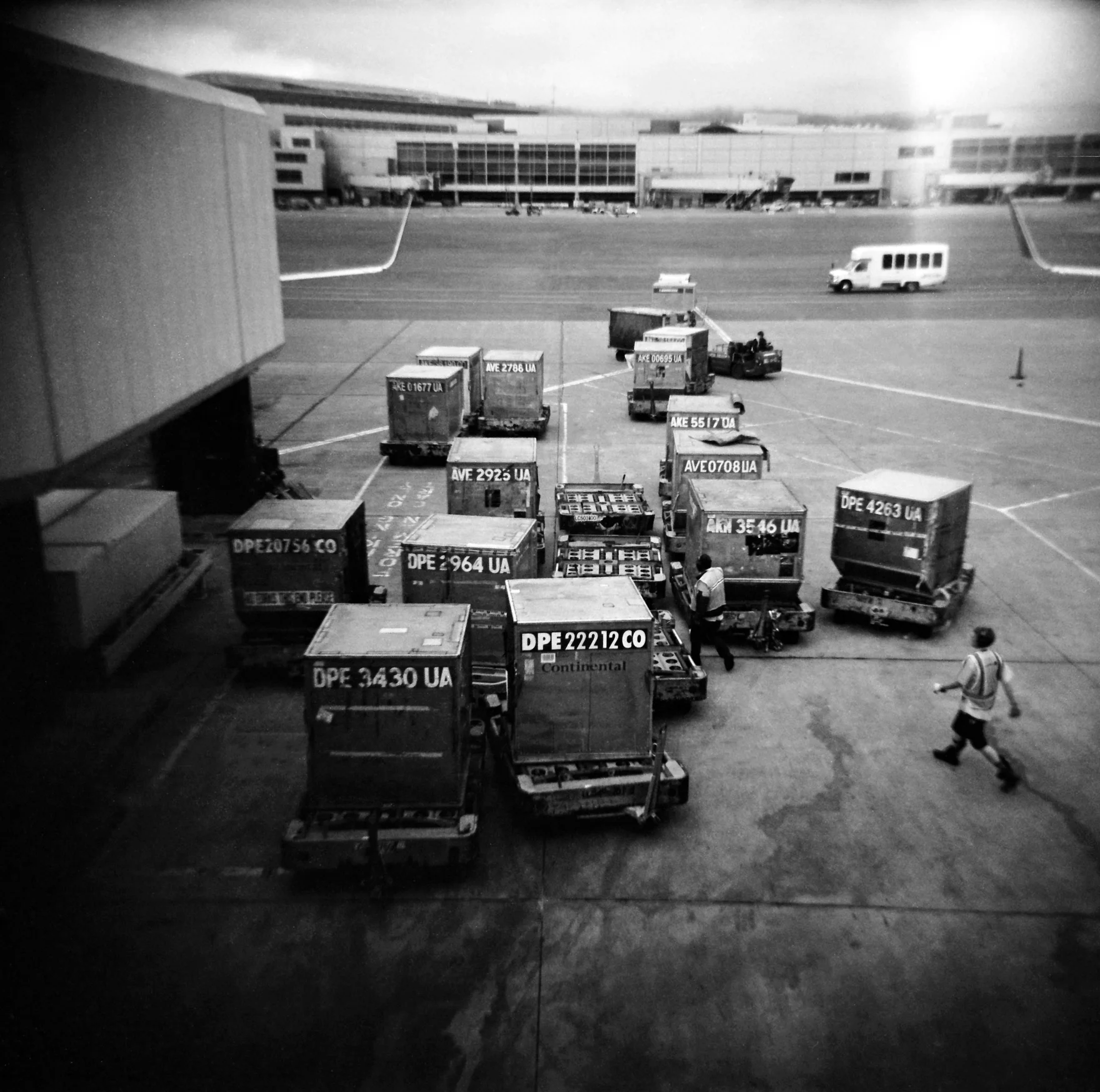 Di Poi_Carola_Cargo_edit.jpg