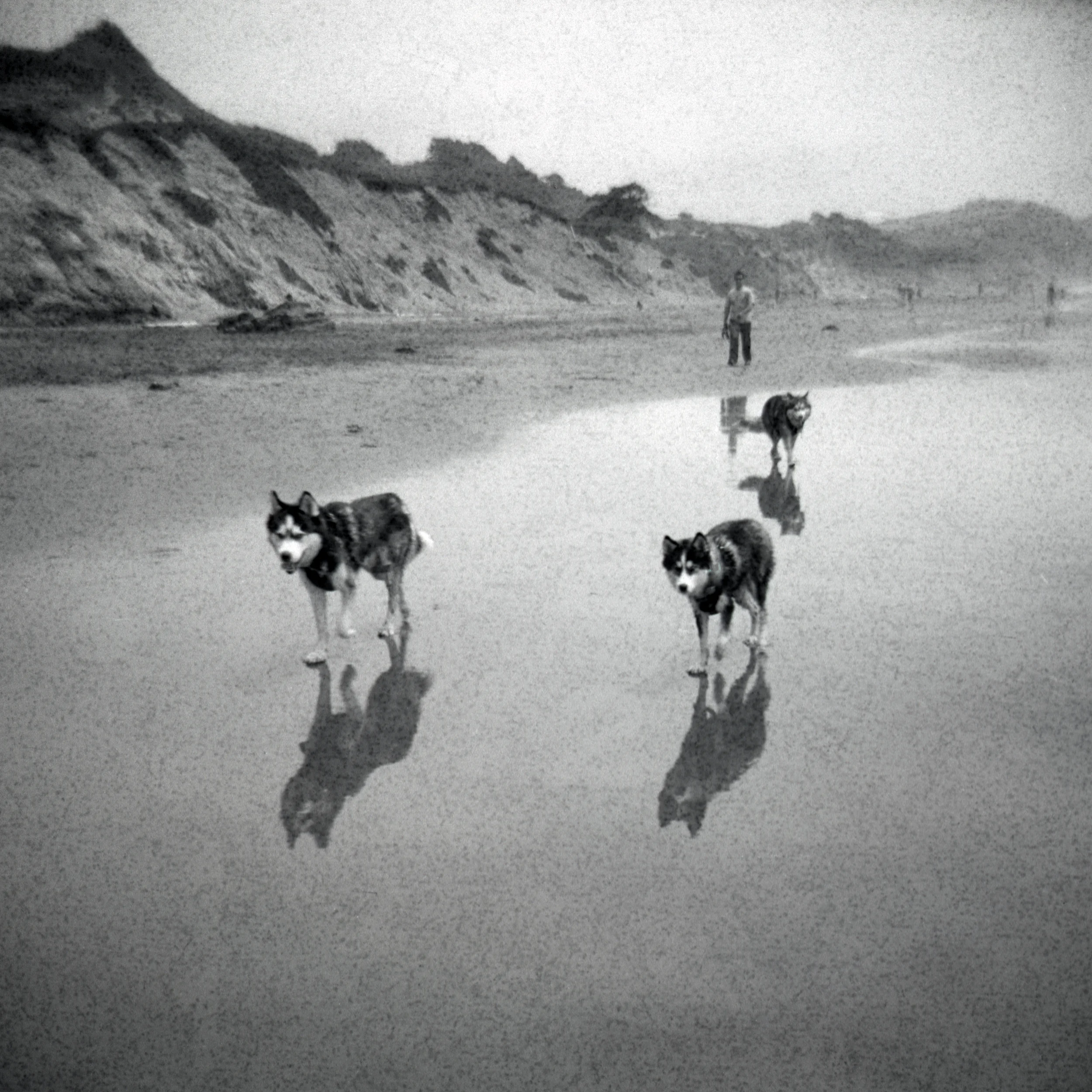 Holga_scans008_edit_2.jpg