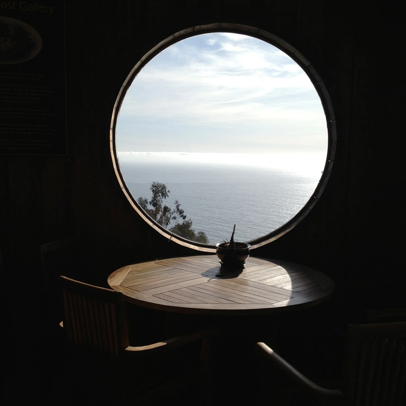 Carola Di Poi_Big Sur_.jpg